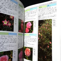 ★即決★英国王立園芸協会編　プラントフォトガイドシリーズ　バラ図鑑300　ROSES_画像7