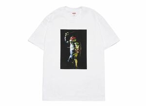 Supreme Raphael Tee White Medium シュプリーム ラファエル Tシャツ ホワイト