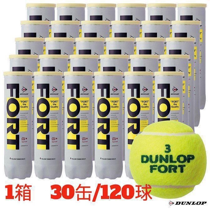 楽天1位】 ⭐美品１１０球 DUNLOP FORT ダンロップフォート テニス