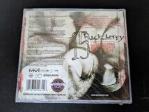 【未開封新品】Buckcherry 15 US盤 9-362684_画像2