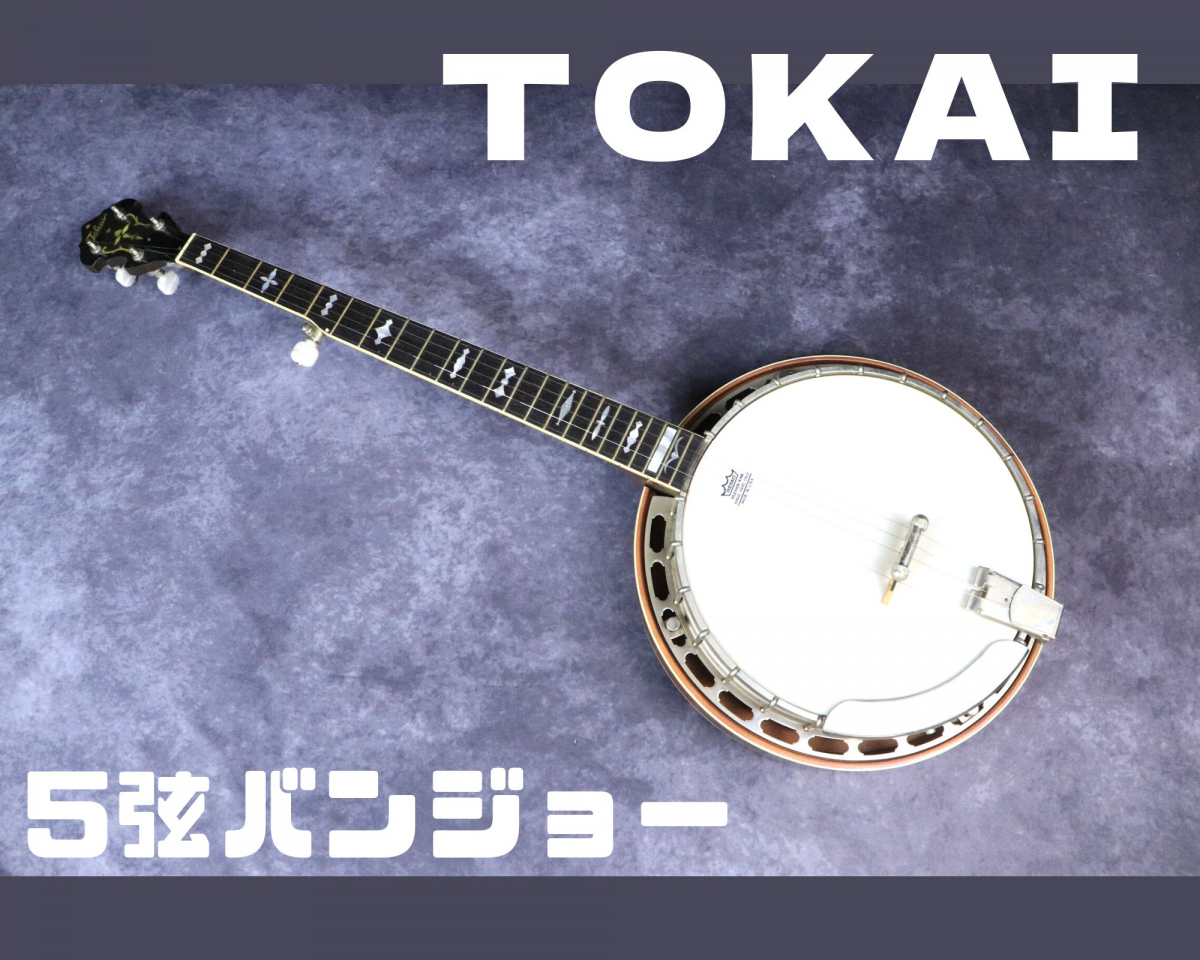 シルバーグレー サイズ TOKAI BANJO T650R ハードケース付 バンジョー