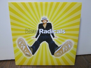first time on vinyl EU盤 MAYBE YOU'VE BEEN BRAINWASHED TOO 2LP[Analog] New Radicals ニュー・ラディカルズ 　アナログレコード vinyl