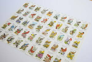 海外切手 未使用 アメリカ 50の州の鳥と花 20セント 50種類 50枚セット コラージュ ラッピング ヴィンテージ