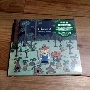 CD+DVD 初回限定盤 初回特典