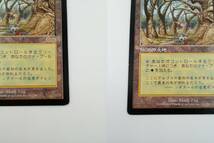 81-KC1721-60: MTG マジックザギャザリング Magic: The Gathering Gaea's Cradle / ガイアの揺籃の地 伝説の土地_画像3