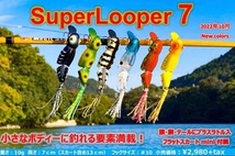 ラインスラック SUPER LOOPER7　　④WCD-B　ホワイトコーチドック_画像3