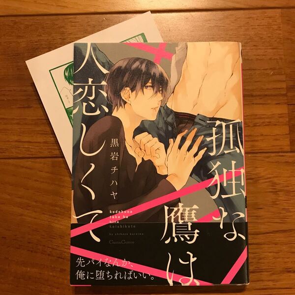 「孤独な鷹は人恋しくて」黒岩チハヤ ペーパー付き