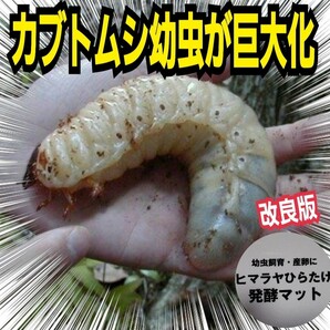 カブトムシ幼虫がビッグに！改良版！ヒマラヤひらたけ発酵マット【8袋】国産87ミリ羽化実績！栄養添加剤入☆保存に便利なチャック付き袋