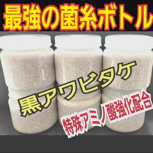 極上！黒アワビタケ菌糸瓶【4本】特殊アミノ酸強化配合！ニジイロクワガタにお薦め！オオクワ、ヒラタの初令、2令にも抜群なボトルサイズ