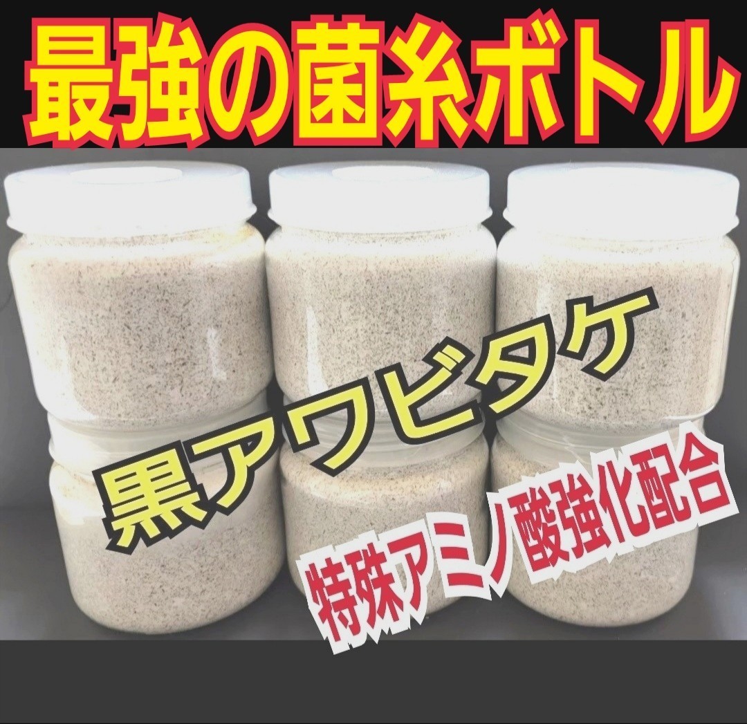 極上 カワラタケ菌糸瓶【8本セット】タランドゥス オウゴンオニ