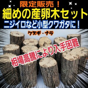 細めの産卵木【3本】ニジイロクワガタ、コクワなど小型種に最適サイズ！クヌギ・ナラ　相場高騰により入手困難！椎茸菌糸がまわってます！