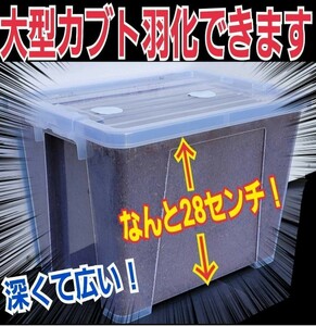 20リットルケース付き☆プレミアム発酵マット☆カブトムシ幼虫を入れるだけ！便利！深くて大きい！特殊アミノ酸強化！大型個体羽化可能！