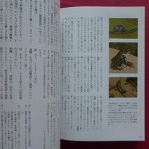 8/とんぼの本【若冲ワンダフル・ワールド/2016年・新潮社】辻惟雄/小林忠/狩野博幸/太田彩/池澤一郎/岡田秀之/伊藤若冲_画像8