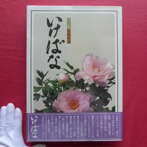 大型8【決定版 伝統の美-いけばな/家庭画報編・昭和53年】いけばな花材四一〇種/いけばな十二ヵ月/細川護貞:日本人といけばな