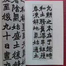 大型5【趙之謙作品選/小林斗盒編/東方書店・1990年】_画像7