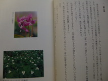 Ω　北海道の本＊漁村史『えりもの春　木を植えた漁師たち５０年の闘い』稲本正＊幌泉郡えりも町えりも岬の漁師たちの歴史・文化・自然_画像3