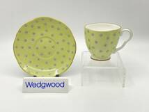 ＊新品未使用＊ WEDGWOOD ウェッジウッド HARLEQUIN POLKA DOT Tea Cup Set ハーレクィン ポルカードット ティーカップ セット *T807_画像2