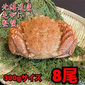 【北海道産】毛がに　8尾（300ｇサイズ）　堅蟹　毛蟹　けがに　ケガニ　蟹　かに　ボイル　母の日　父の日　お中元　お歳暮