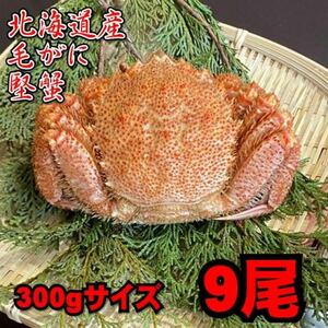 【北海道産】毛がに　9尾（300ｇサイズ）　堅蟹　毛蟹　けがに　ケガニ　蟹　かに　ボイル　母の日　父の日　お中元　お歳暮　年末