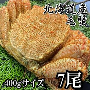 【訳あり】毛がに　7尾（約400ｇサイズ）　北海道産　堅蟹　毛蟹　けがに　ケガニ　蟹　かに　ボイル　母の日　父の日　お歳暮　年末