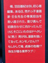 中古本　霧嶋珠生　【　マスタード・ハニー　】　帯付き　初版　BL　即決_画像2