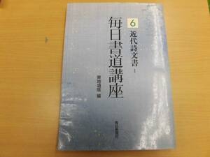 毎日書道講座 6 近代詩文書　　　書道 手本　　X☆