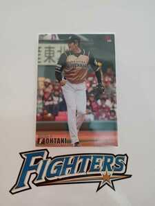 NPB Calbee Professional Baseball chip s2015 year 3 regular card pa* Lee g Hokkaido Nippon-Ham Fighters 183 large . sho flat . number 11 two sword .