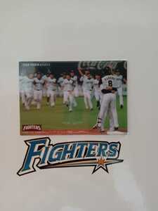 NPB カルビープロ野球チップス 2010年 チームスタッツカード 北海道日本ハムファイターズ TS-07 2009年リーグ優勝の瞬間記念カード