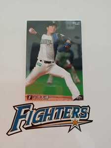 NPB Calbee Professional Baseball chip s2020 year 2 regular card Hokkaido Nippon-Ham Fighters 102 sphere . large sho . number 54 16.do rough to8 rank right arm 