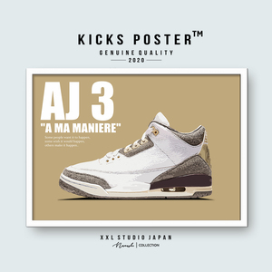 AJ3 エアジョーダン3 アママニエール キックスポスター 送料無料 AJ3-25