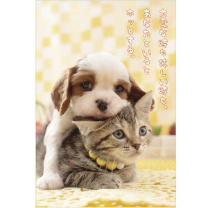 メッセージ入りポストカード　犬と猫　「大変な時もうれしい時も」