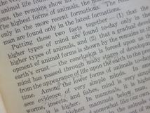 【英語】 1917年 The Science of Human Nature A Psychology for Beginners William Henry Pyle teacher training series / 古い 洋書_画像9