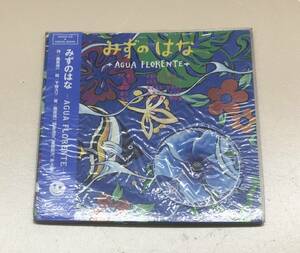 H-1439 нераспечатанный! CD есть книга с картинками .... .AGUA FLORENTE тутовик .. один утро книга@. документ синий .. следующий Inoue . др. Sune - медведь n шоу 