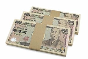 100万円札束 ダミー 3束 三百万円分 金運グッズ 開運 お守り 風水 イメージトレーニング 宝くじ YOUTUBE 講演 レプリカ 防犯