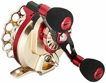 ダイワ(DAIWA) イカダリール 18 BJ 筏 70 (2018モデル)_画像1