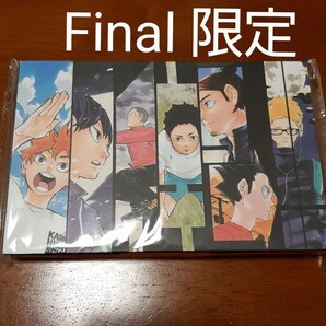 FINAL限定オリジナルグッズ ハイキュー!!展 Final 東京 ハイキュー展 排球箱 日向翔陽 影山飛雄 月島蛍 宮侑