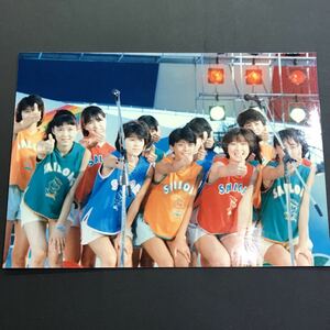 T1281 おニャン子クラブ 生写真 当時物 アイドル 写真