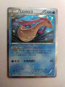 ヤフオク Xy ミロカロス の落札相場 落札価格 ヤフオク Xy ミロカロス の落札相場 落札価格