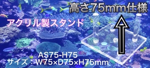 A-AS75-H75* （W75×D75×H75ｍｍ）アクリル製スタンド ライブロックスタンド 水槽用 ライブロック用 サンゴ 流木 サンゴ台