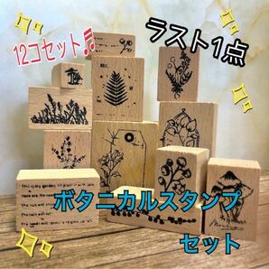 ☆ボタニカルプラント ヴィンテージスタンプ 12個入り ハンドメイド 植物　はんこセット　お手紙　手帳　海外雑貨　送料無料　人気☆