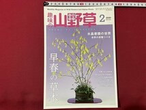 ｓ◎◎　2020年2月号　趣味の山野草　季節を先どり早春の草木　栃の葉書房　書籍　雑誌　　　/　K14_画像1