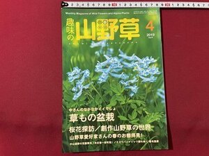 ｓ◎◎　2019年4月号　趣味の山野草　中さんのなかなかイイでしょ 草もの盆栽　栃の葉書房　書籍　雑誌　　　/　K14