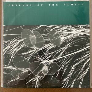 Friends Of The Family Rotten To The Core/12/レコード/NM/シューゲイズ