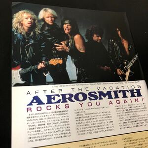 0425-1 レア切り抜き　エアロスミス　スティーヴン・タイラー　1989年　AEROSMITH