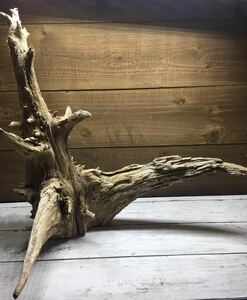 [ free shipping ] natural driftwood largish aquarium kokelium tree type interior objet d'art driftwood accessory stand 