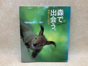 森で出会う。　動物たちの四季　2006年　CGE593