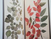 The Pressed Plant　The Art of Botanical Specimens, Nature Prints, and Sun Pictures　植物標本 押し花 Henry Bradbury Cyanotype_画像8