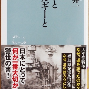 ★送料無料★ 『国家とエネルギーと戦争』 該博な歴史の知識と深い洞察から生まれた、新鮮なエレルギー論 渡部昇一 新書 ★同梱OK★