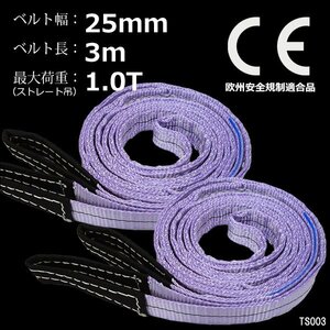 ナイロンスリングベルト【2本セット】幅25mm×3m 耐荷1000kg CE規格品 ベルトスリング 紫/8