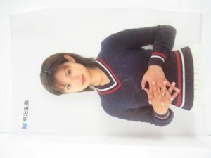 Meiji Life Kyoko Kyoko Clear File [SC1008]